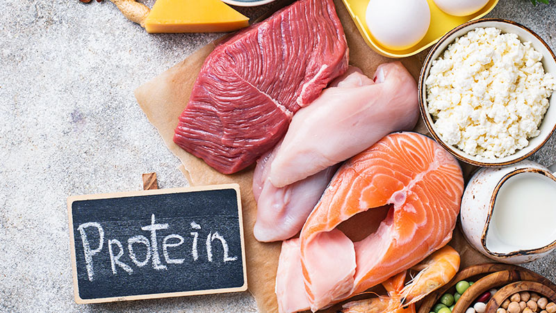 Things to Consider About Intaking Protein