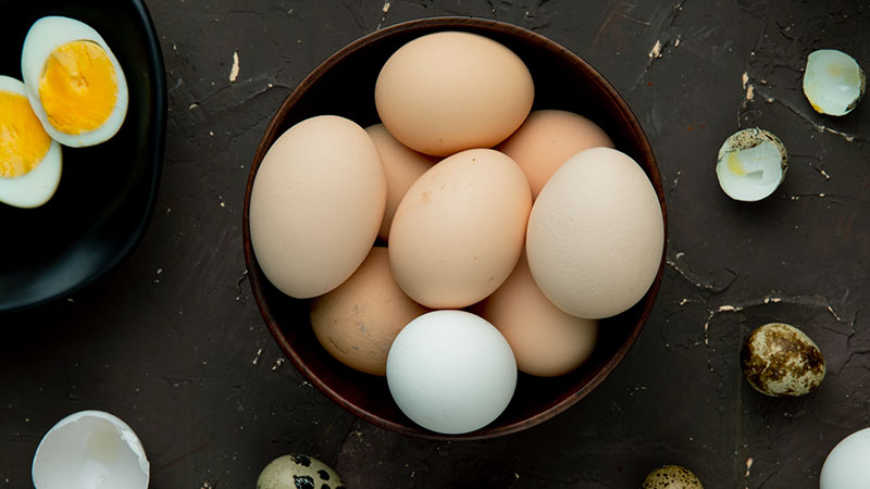 Things to Consider While Choosing the Right Egg Type