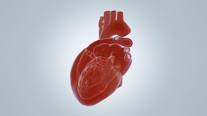 Causes Congenital Heart Disease