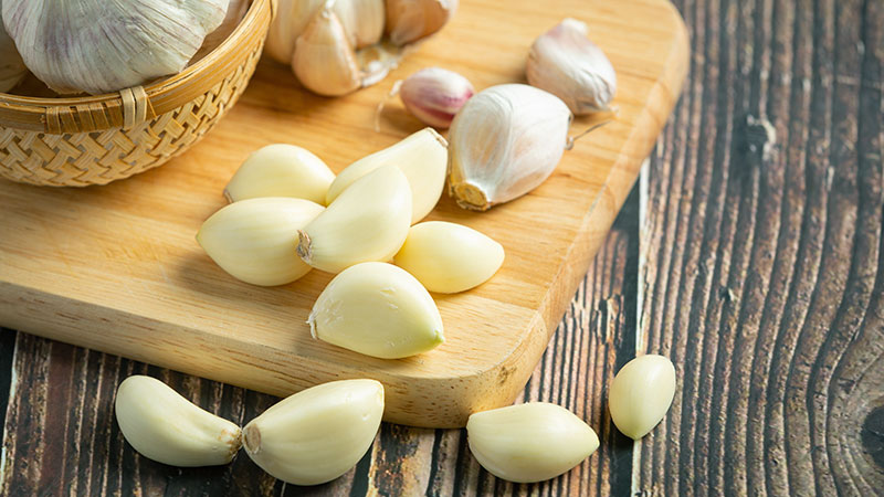 Garlic