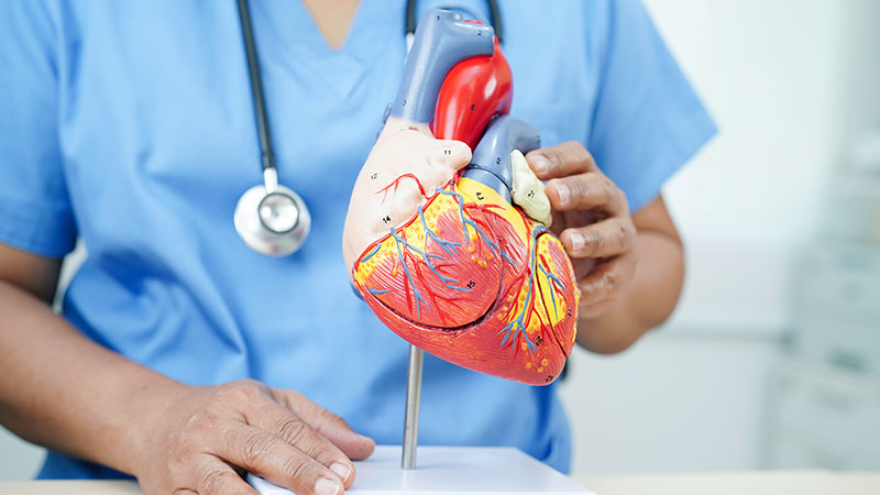 Prevention Tips to Avoid Congenital Heart Disease