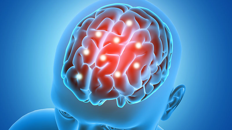 Regulation of Neurotransmitters