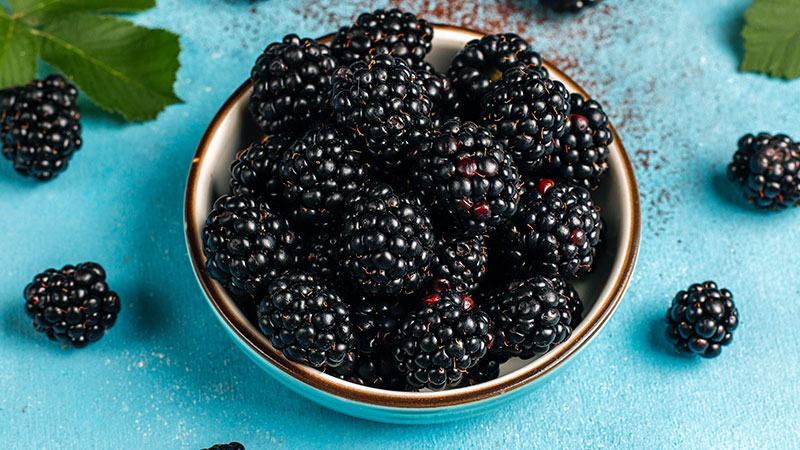 Blackberries