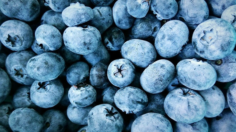 Blueberries
