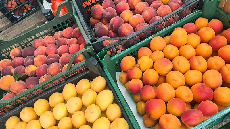Delicious Ways to Enjoy Stone Fruits