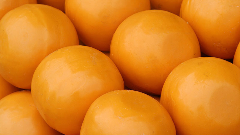 Edam