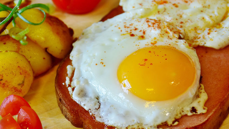 Egg