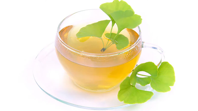 Ginkgo Biloba Tea