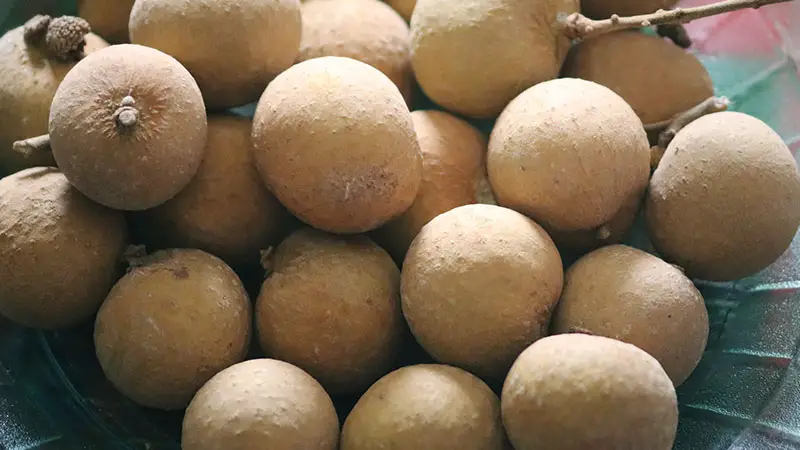 Health Benefits of Longan