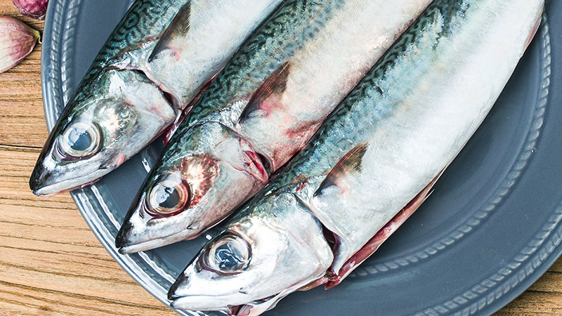 Health Benefits of Mackerel Fish