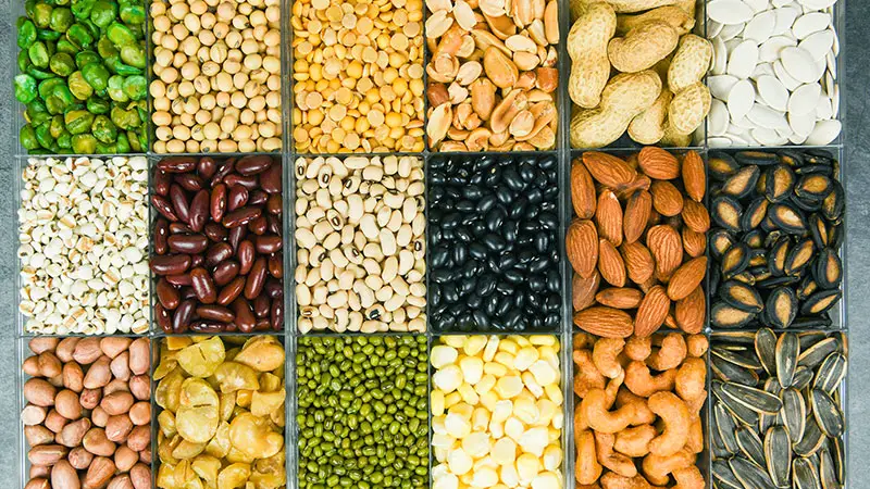Nuts, Seeds, and Legumes