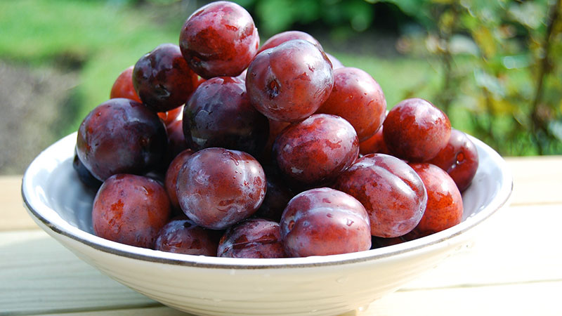 Health Benefits of Plums