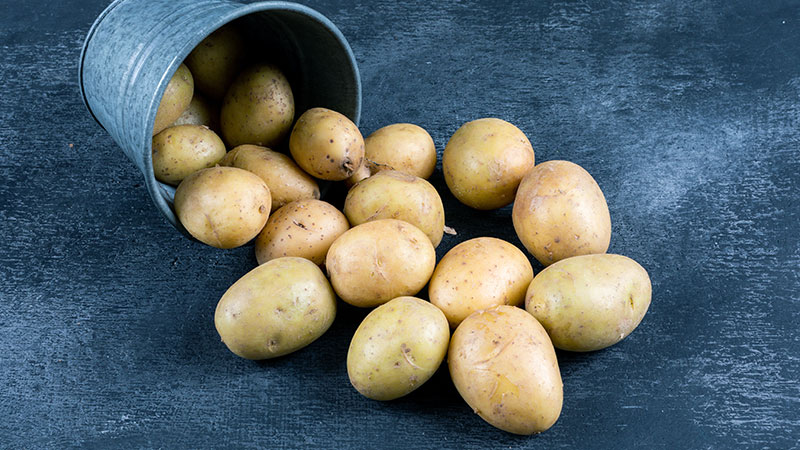 Potato