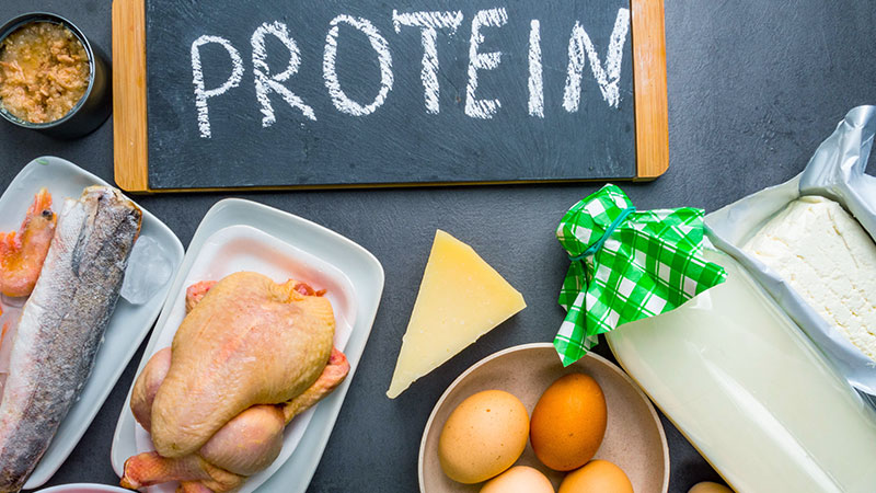 Protein