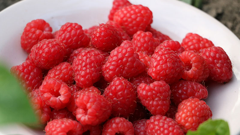 Raspberry