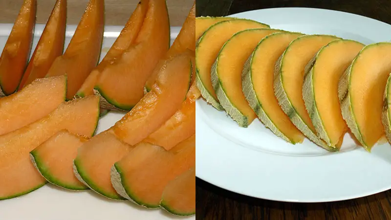 Similarities and differences
