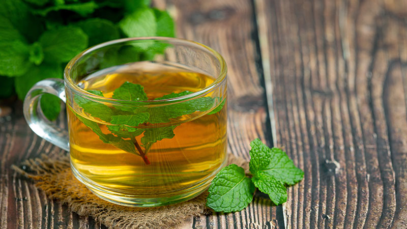 Tulsi Tea