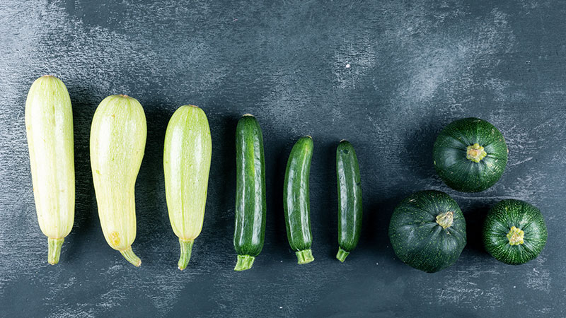 Zucchini