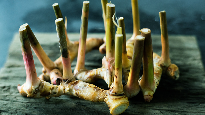 Practical Ways to Consume Galangal