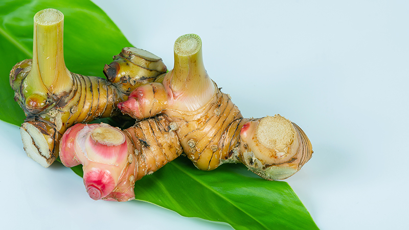 Risks and Side Effects of Galangal Use