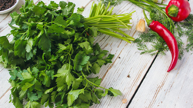 Health Benefits of Cilantro
