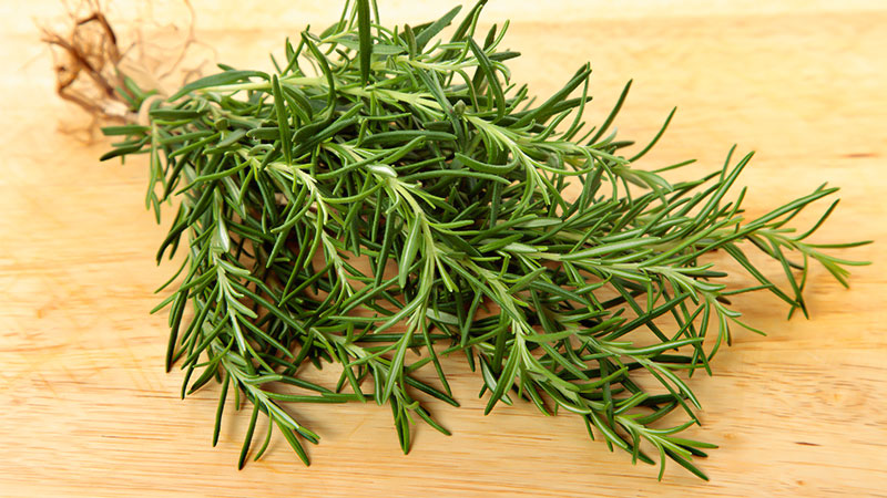 Health Benefits of Rosemary