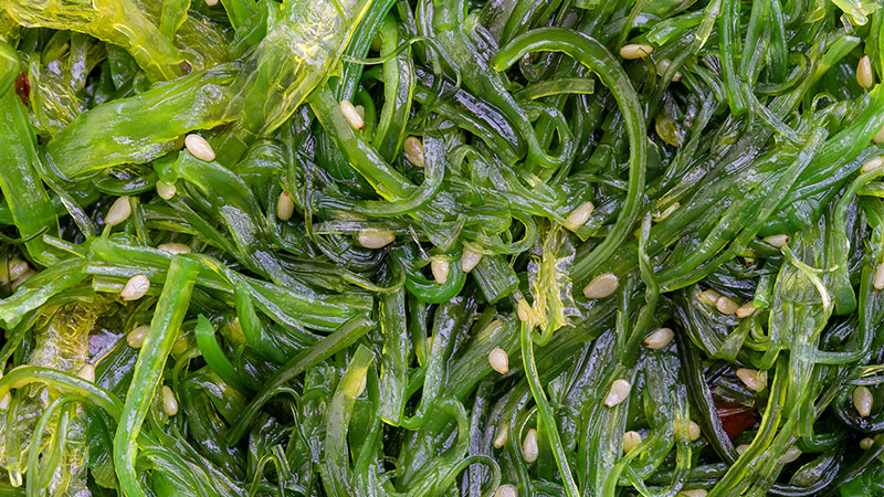 Seaweed