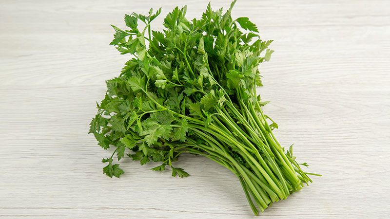 How to Incorporate Cilantro into Your Diet