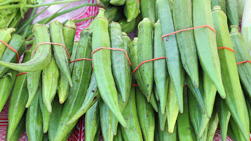 Ways to Incorporate Okra into Your Diet