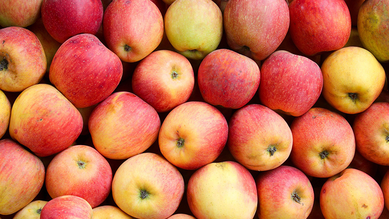 health benefits of apples