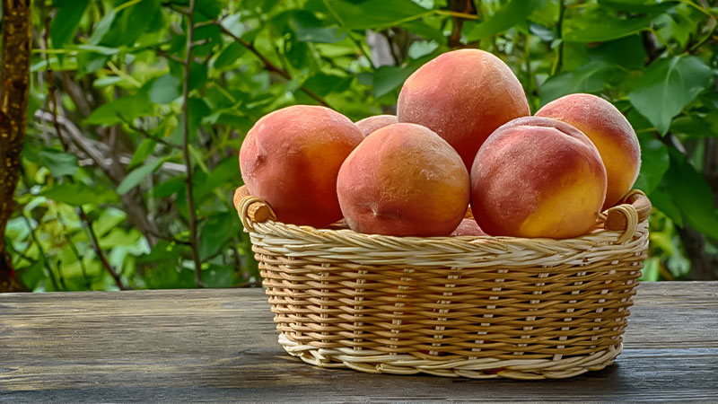 health benefits of peaches