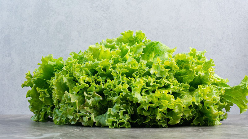 Health Benefits of Kale