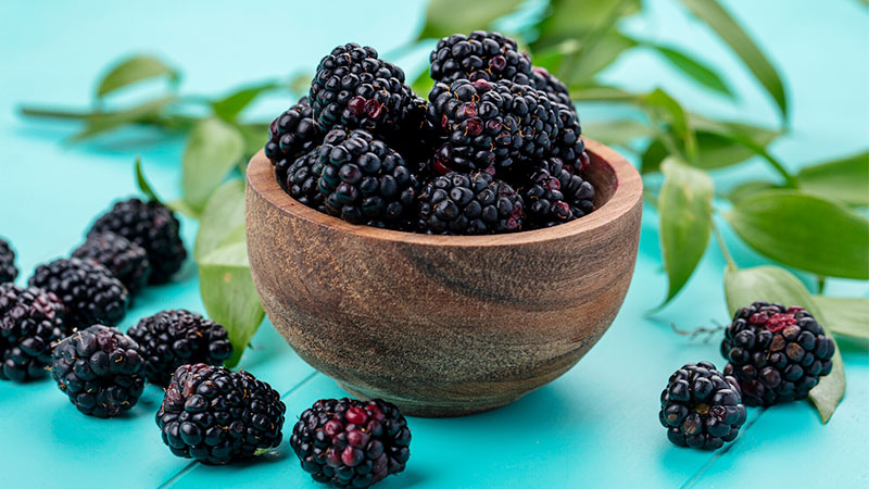 Health Benefits of Blackberry