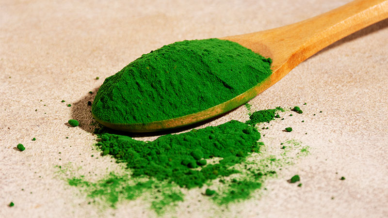 spirulina