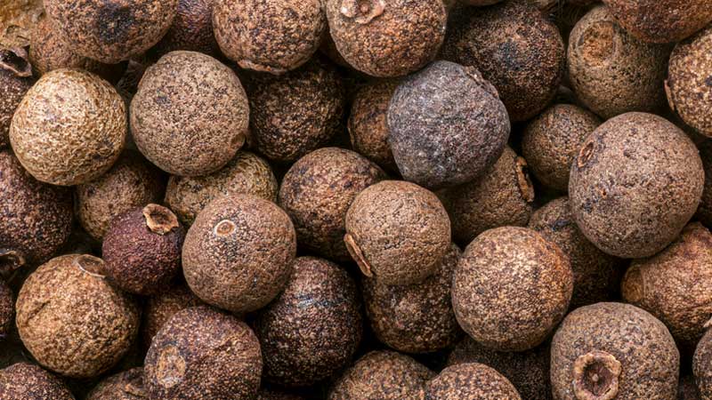 Health Benefits of Allspice