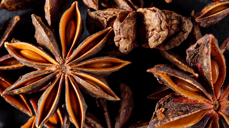 Health Benefits of Anise Star