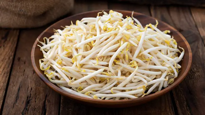 Health Benefits of Bean Sprouts