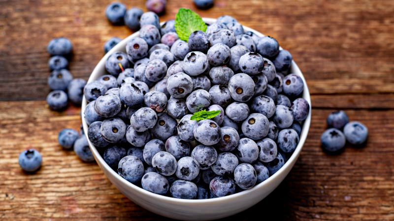 Health Benefits of Bilberry