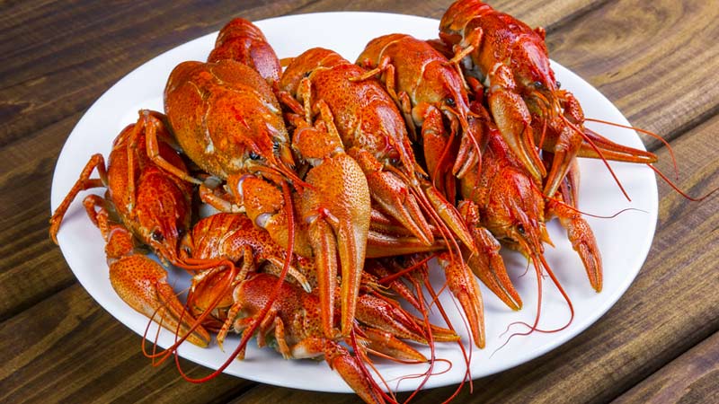 Health Benefits of Crayfish