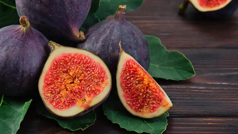 Health Benefits of Fig Leaves