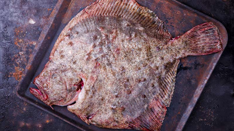 Health Benefits of Flounder