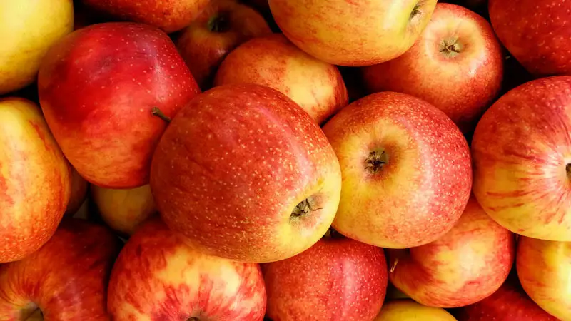 Health Benefits of Fuji Apples