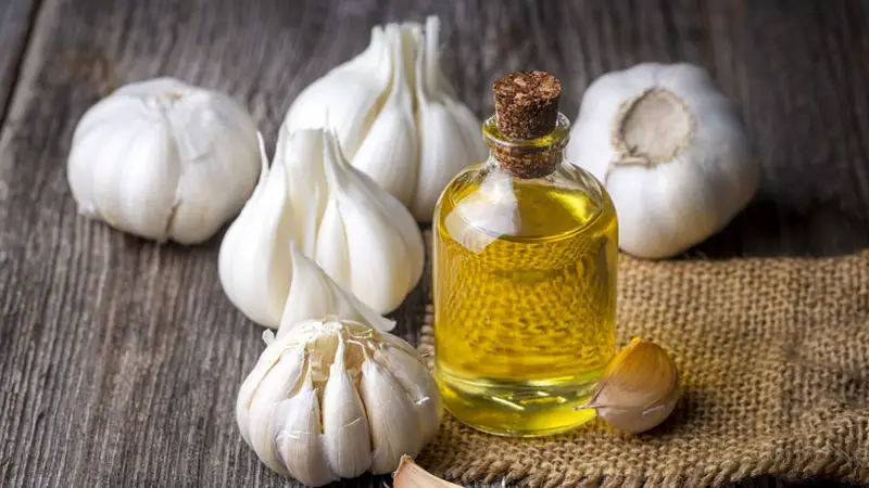 Health Benefits of Garlic Oil