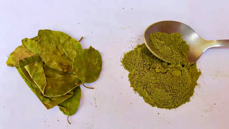Health Benefits of Gymnema