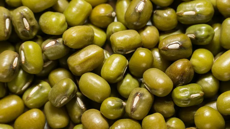 Health Benefits of Moong Dal