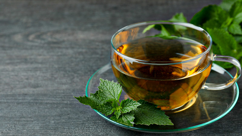 Health Benefits of Nettle Tea