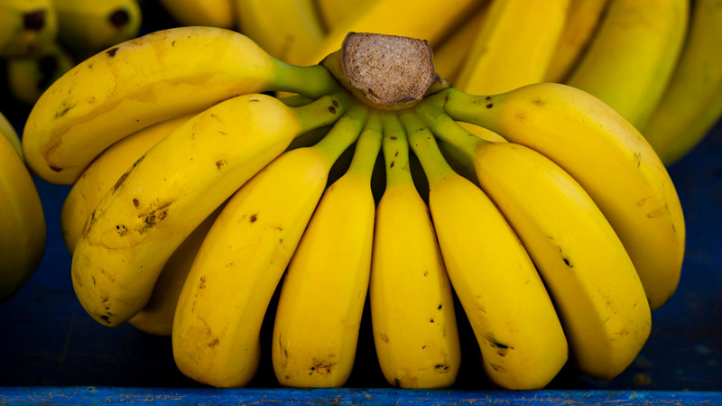 Health Benefits of Plantain