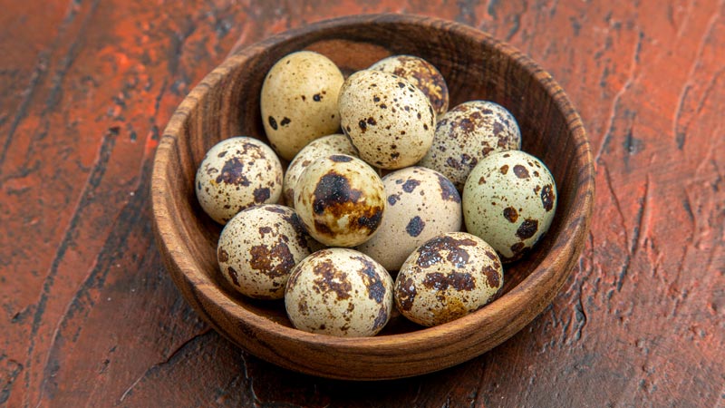 Health Benefits of Quail Eggs
