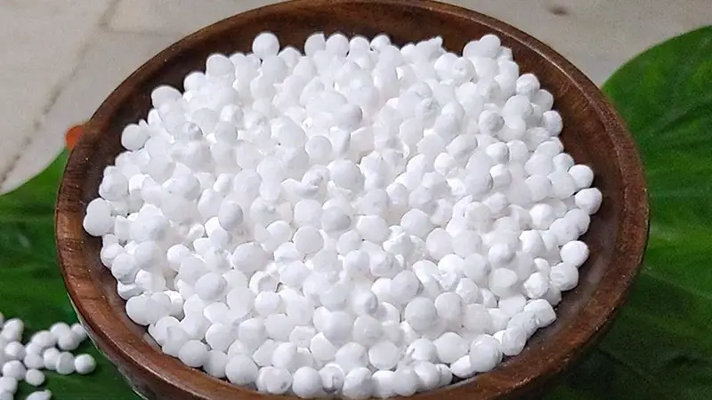 Health Benefits of Sabudana