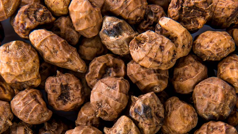 Health Benefits of Tiger Nuts